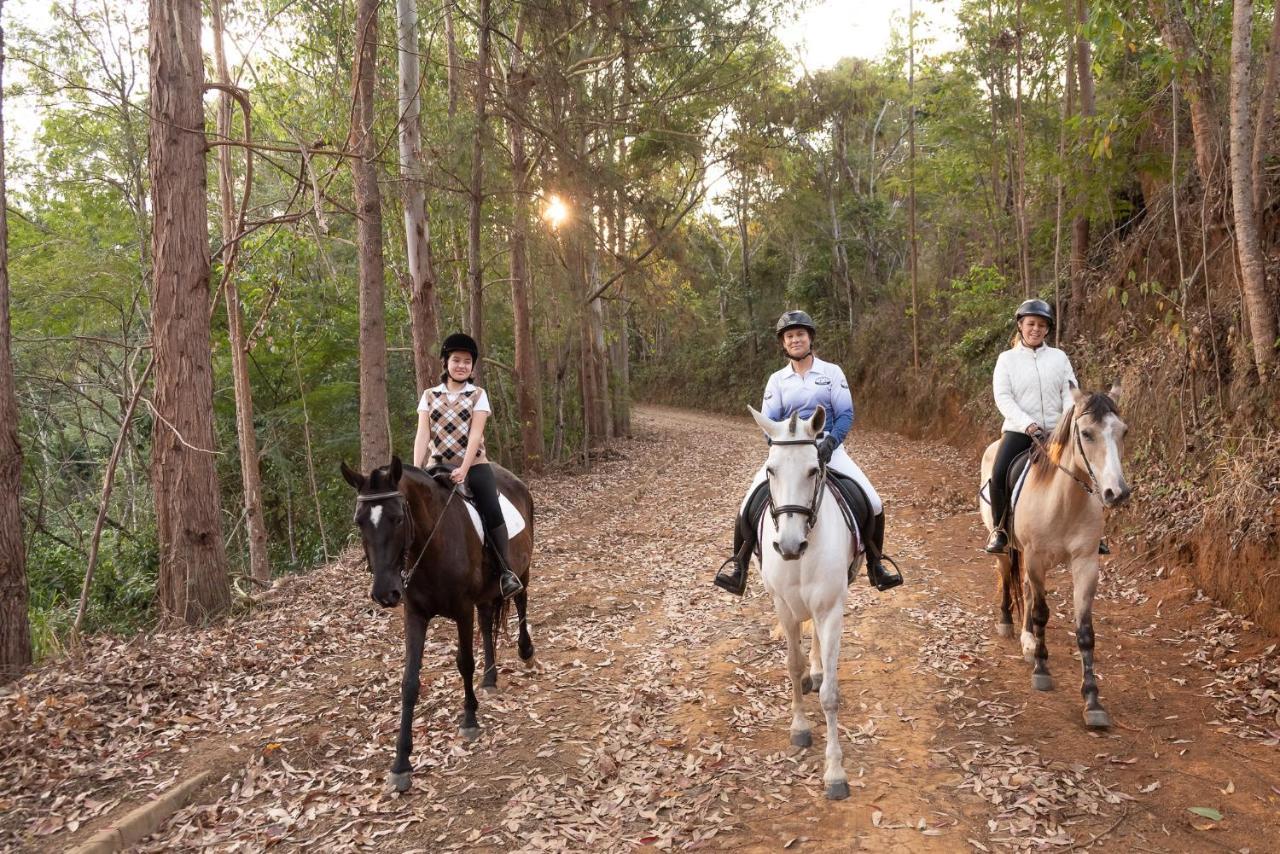 Haras Morena Resort جويز دي فورا المظهر الخارجي الصورة